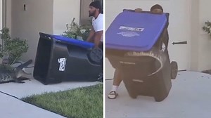 Florida Man Captures Alligator in Trash Can