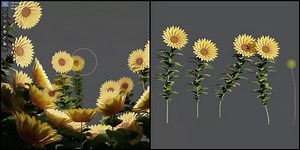 Setting Up Procedural Flower Generators in Blender