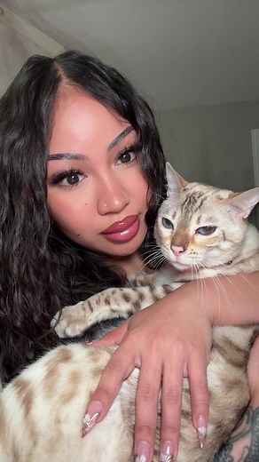 😏😏 #cat #catvideos #cutecat #bengalcat #snowbengal