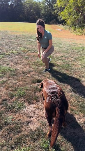 7.7K views · 819 reactions | We’re not fixing behavior. We’re rewiring the system behind it. Somatic Literacy = clarity, connection, resilience. This is the future of training. | Waldrup Somatic Method | Facebook