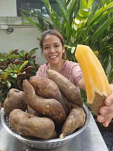 Napakadaming health benefits ng gulay na ito. Gulay nga ba o prutas ang Yacon? #yaconinthailand #yacon #eating ##foryou | Mommy Will in Thailand
