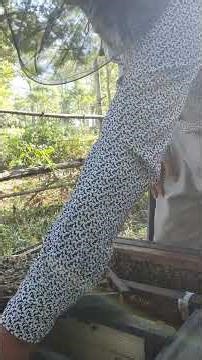 Harvesting Bee pollen in Seconds 🐝🍯 #Shorts Fresh Honey Bee Pollen🍯✨ #HoneyHarvest Bee Pollen