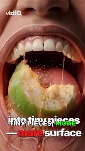 What Happens When You Bite Into an Apple?