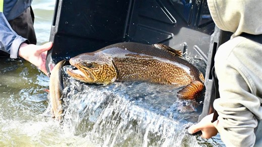 Trout season opens, kids contest at Spring Lake is on - rain or shine