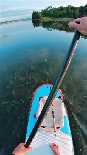 SUP 🏄🏽 Fishing HINT: Let It Dangle! 🎣🐛 #supfishing