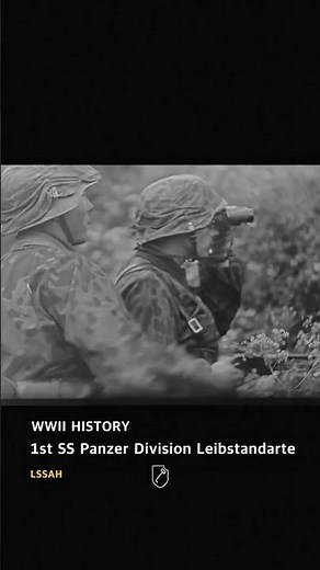 The 1st SS Panzer Division Leibstandarte SS Adolf Hitler during World War II #ww2 #history #panzer