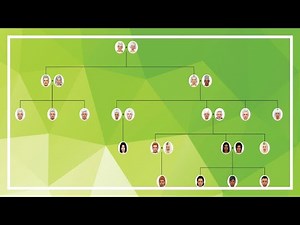 How I Create My Family Trees | Simplicity