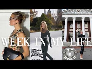 Week in my life: Harvard, Burberry, Thanksgiving and Black Friday Shopping