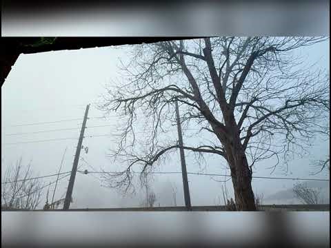 Fog Time Lapse
