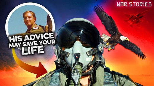 Pilot survives a 500 mph bird strike in an F-15 jet