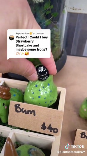 Replying to @Tan 🌞 which ones tickle ur eyeballs? Xxx