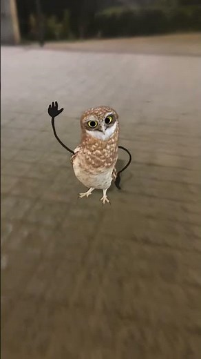 #Tutorialfilter #nivetadhingramusic