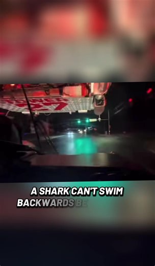 Keep Moving Forward: The Growth Mindset You Need