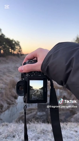 Early frost and stillness, captured with the Sony A7R II ❄️📷 Something about this light, this silence — it all comes alive through the lens. Nature doesn’t rush, and neither should we. #SonyAlpha #A7RII #LandscapePhotography #WinterLight #FrostyMornings #naturethroughmylense