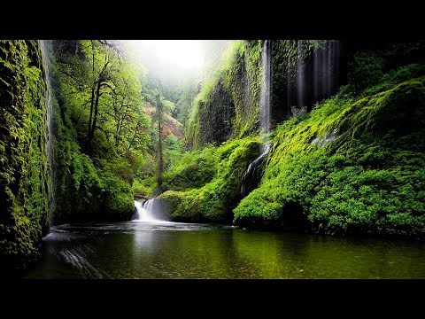 轻松的轻音乐、适合工作、学习的轻松音乐：适合放松的最佳轻音乐