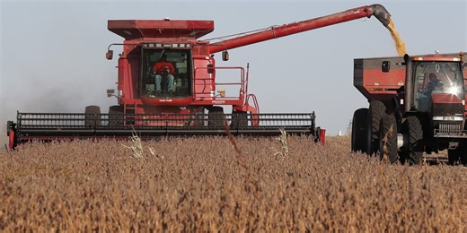 U.S. Soybean Farmers Staring at More Hard Times in 2026