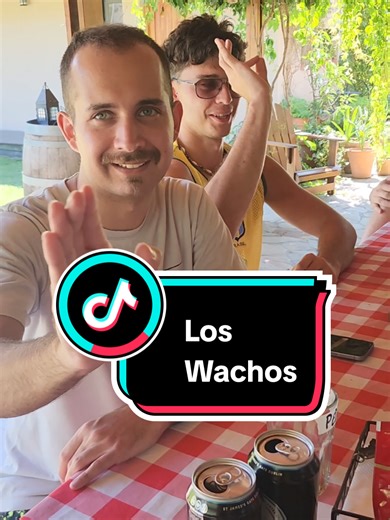 Un momento con los Wachos. #The_Great_Cat_Master #paratii #FYP #Domingo