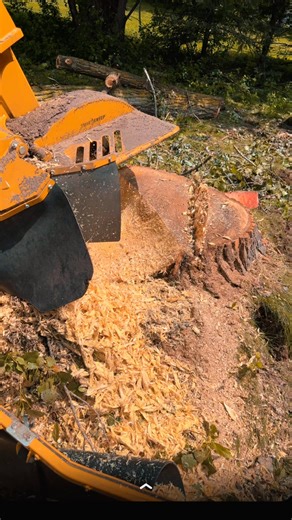 Ready To Make That Yard Beautiful Again !? Tired of that ugly stump in your yard ? TK'S Stump Grinding can make it disappear, fast and hassle free !! Insured Professional & Reliable Service Smooth, Clean Results Serving: Central Minnesota Call or Text: 763-218-1878 Get a FREE quote today and take back your yard !! | TK’S Stump Grinding