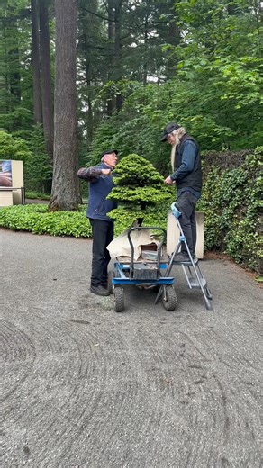 14K views · 698 reactions | Pinching time! Our springtime elongating...