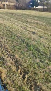 104K views · 790 reactions | Imt 539 1500 radnih sati. Plug olt deset cola. | TRAKTORI . HR | Facebook