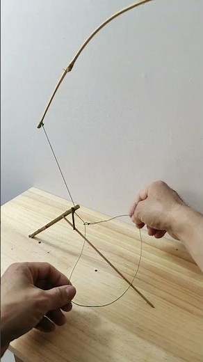 How to make a simple and effective trap to catch wild chickens