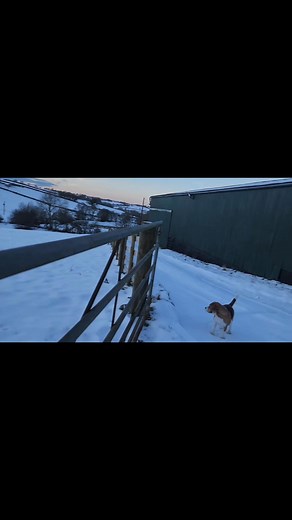 Just look at that view from the cottage. Imagine a cozy log fire and...