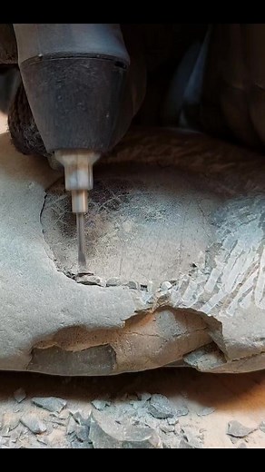 11K views · 199 reactions | Sometimes the rock just about jumps off the fossil #fossil #crab #prep | Mamlambo | Facebook