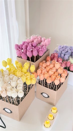The Beauty of Tulips: A Springtime Delight