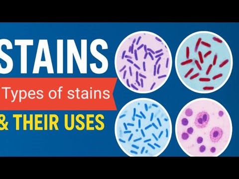 Microbiology Stains | Types of Stains & Their Uses | For NRE1 and usmle1|part 2