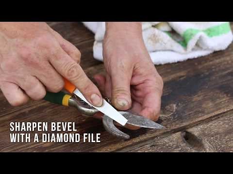Pruners - How to Clean and Sharpen | Gardening Tools & Tips | Garden Gate Magazine