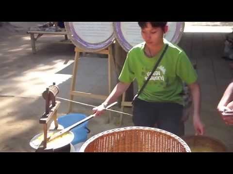 Making Thai Silk: From Silkworm to Fabric