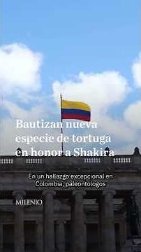 Nueva especie fósil bautizada en honor a Shakira: así era Shakiremys