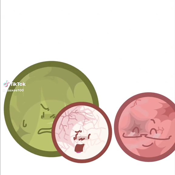 حسابات مقترحة