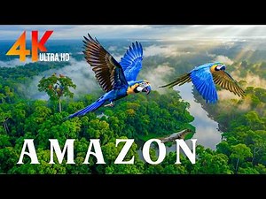 Amazon 4K 🌍 The Pristine Amazon Rainforest & Wildlife | The Living Heart Of The Planet