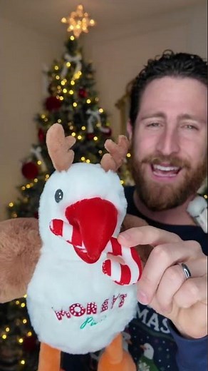 Rudy the Red Nosed Seagull!