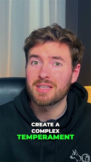 Did you know this about your cockapoo?