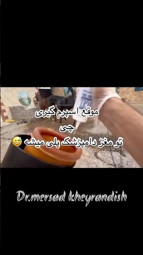 Stallion Semen Collection | Veterinary Procedure