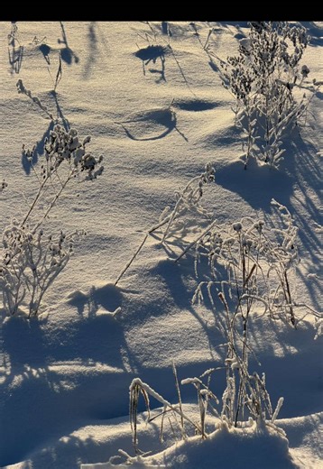 rich in memories at least