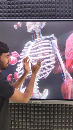 Breathing Process By Diaphragm and External Intercostal Muscle #neet2025 #neetbiology #thorax100