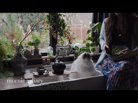 Relaxing Morning Diary🪴My favorite Hummus recipe, breakfast & Healthy rainbow salad 🌈