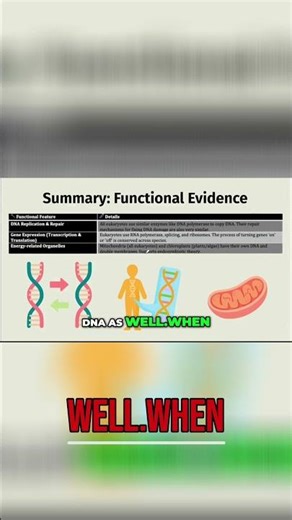 Gene Expression: DNA to Protein Explained Simply