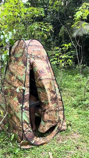 The sound of a duck quacking