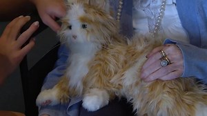 Robotic pets bringing comfort to seniors