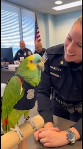 120K views · 1.7K reactions | Parrot & Cops – Smooth-Talking Parrot Shoots His Shot at a Cop #parrot #cops #funnypets #funny #police #funnyvideos #talkingparrot #funnyreels #ParrotComedy #parrotroastingcops | Parrot & Cops | Facebook