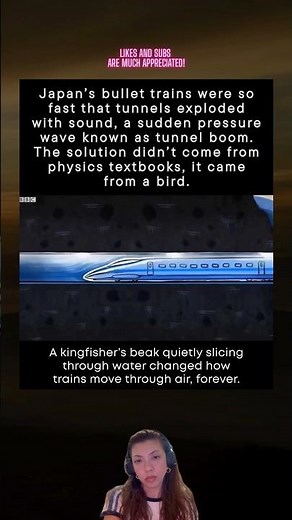 A Bird That Fixed Japan’s Loudest Train Problem