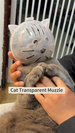 Nio Pets on Instagram: "**🐱✨ The Comfortable & Breathable Cat Cone Your Pet Won’t Hate!** Say goodbye to stressful vet visits and messy grooming sessions with the **Ultra-Light Cat Recovery Collar** – designed for maximum comfort *and* visibility! #PetCare #CatEssentials #HappyKitty 💬 **Tag a cat parent who needs this!** 👇 **Swipe to see how comfy it is!** — **🛒 LINK IN BIO – Keep recovery stress-free!**"