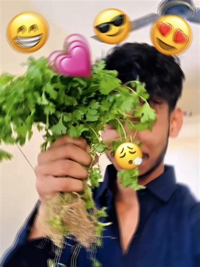 A Perfect Day to Connect