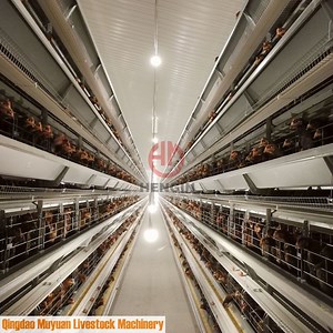 [Hot Item] Chicken Layer Cage Livestock Machinery for Ghana Poultry Farm