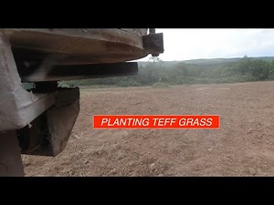 Tillage, Teff, Sowing The Seed w/ The Herd and JD 5055D Part 7