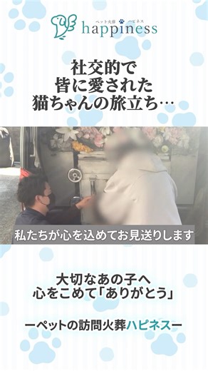 【ペット火葬】社交的で皆に愛された猫ちゃんの旅立ち…🌈